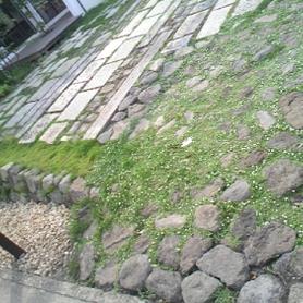 根府川石敷きの駐車場兼庭 根府川石敷きの駐車場兼庭