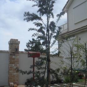 カントリーエクステエリア カントリーエクステエリア