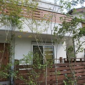 雑木に囲まれたウッドデッキ 雑木に囲まれたウッドデッキ