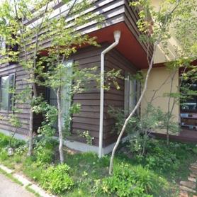 Cafeのような雑木の庭 Cafeのような雑木の庭