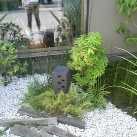 和庭のトクサ 和庭のトクサ