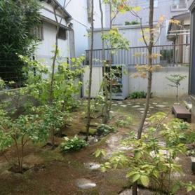 ソイペーパーの飛び石 ソイペーパーの飛び石