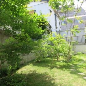 雑木の庭の1年後 雑木の庭の1年後