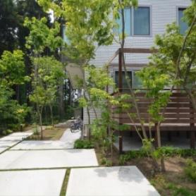 借景の杉林をつなげる雑木 借景の杉林をつなげる雑木