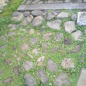 根府川石敷きの駐車場 根府川石敷きの駐車場