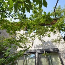 雑木に囲まれた建物 雑木に囲まれた建物