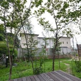 雑木の庭へリフォーム 雑木の庭へリフォーム