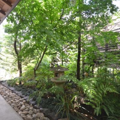施工事例 和風 神奈川県厚木市 外構 エクステリア 山採り雑木の庭 景色工房サフラン モリニワ 施工事例 和風 神奈川県厚木市 外構 エクステリア 山採り雑木の庭 景色工房サフラン モリニワ