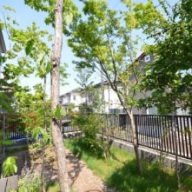 雑木の庭へリフォーム 雑木の庭へリフォーム