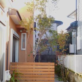 木陰と木洩れ日のある庭に 木陰と木洩れ日のある庭に