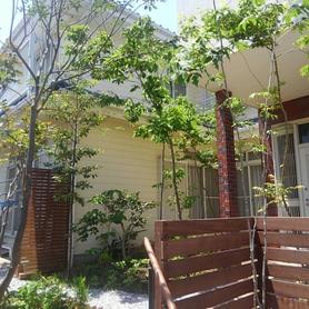 雑木の庭にガーデンリフォーム 雑木の庭にガーデンリフォーム