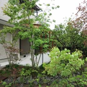 仕立てもの中心の庭を雑木の庭にリフォーム 仕立てもの中心の庭を雑木の庭にリフォーム