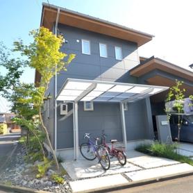 道路際の雑木 道路際の雑木