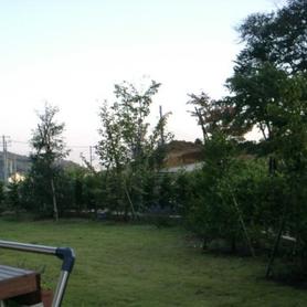 沢山の樹種のある庭 沢山の樹種のある庭