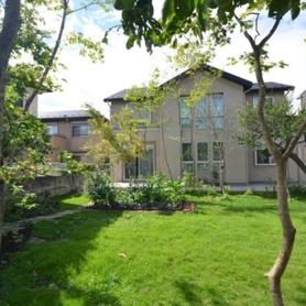 既存の木を活かして雑木の庭に 既存の木を活かして雑木の庭に