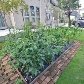 ハードウッド材で区切った菜園スペース ハードウッド材で区切った菜園スペース