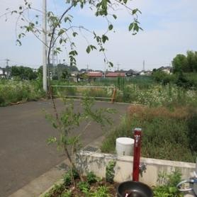 緑に映える赤い色の水栓柱 緑に映える赤い色の水栓柱