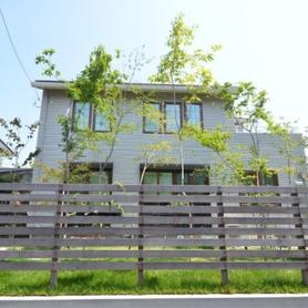 ウッドフェンスと雑木 ウッドフェンスと雑木