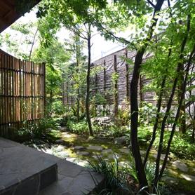 雑木と苔の癒しの和庭 雑木と苔の癒しの和庭