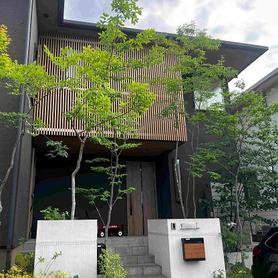 完工から4年経過の雑木の庭 完工から4年経過の雑木の庭