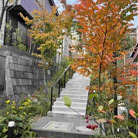 雑木のトンネル階段の紅葉