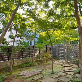 雑木の庭 雑木の庭