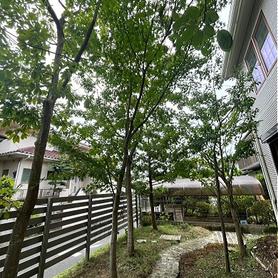 木陰・木漏れ日のある庭 木陰・木漏れ日のある庭