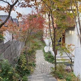 雑木のトンネルアプローチ 雑木のトンネルアプローチ
