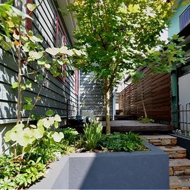 ウッドデッキ ウッドデッキ