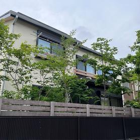 雑木の庭 雑木の庭