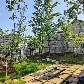 モリニワにガーデンリフォーム。 モリニワにガーデンリフォーム。