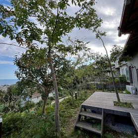 庭リノベーション 庭リノベーション