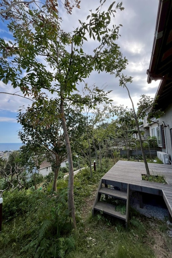 神奈川県中郡大磯町 中古の平屋 庭リノベーションビフォーアフター 高台の海の見える庭 S様邸