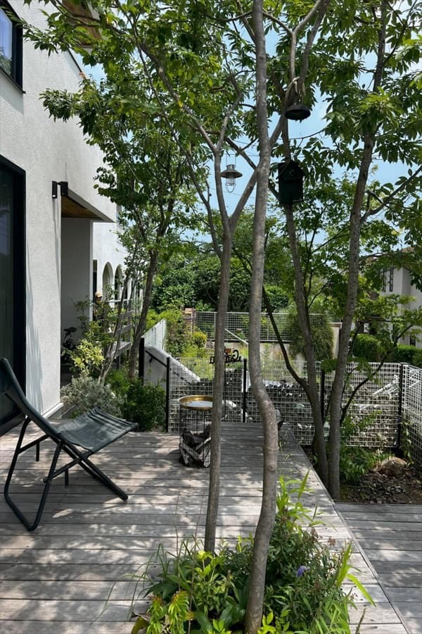 6月初心者さんのための木陰・木漏れ日外構・庭無料相談会