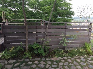 植栽スペースは花壇として囲わなくてもいいかと 神奈川県厚木市 外構 エクステリア 山採り雑木の庭 景色工房サフラン モリニワ