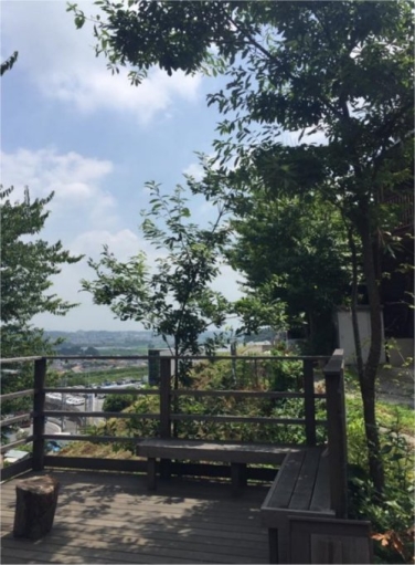 今年は木陰が気持ち良いです 神奈川県厚木市 外構 エクステリア 山採り雑木の庭 景色工房サフラン モリニワ