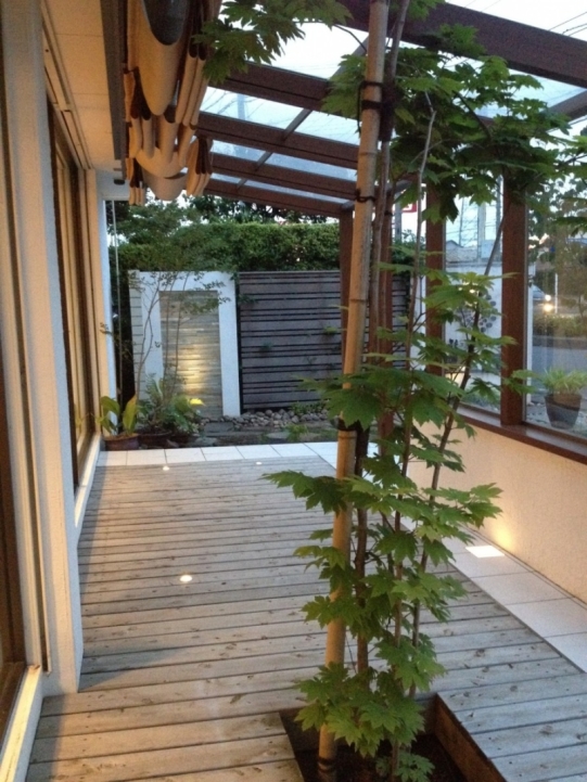 展示場にドウダンツツジを植えました｜神奈川県厚木市│外構 