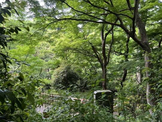 椿山荘庭園