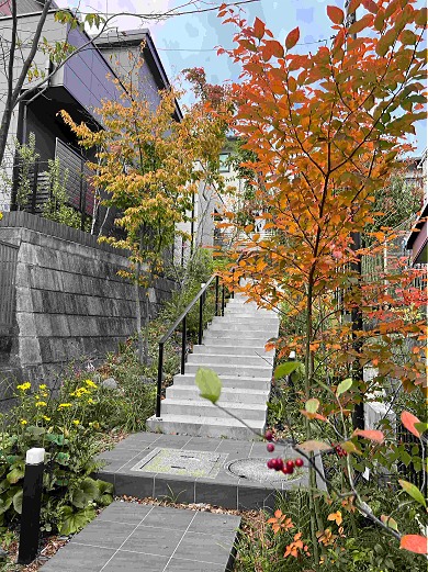 雑木のトンネル階段の紅葉