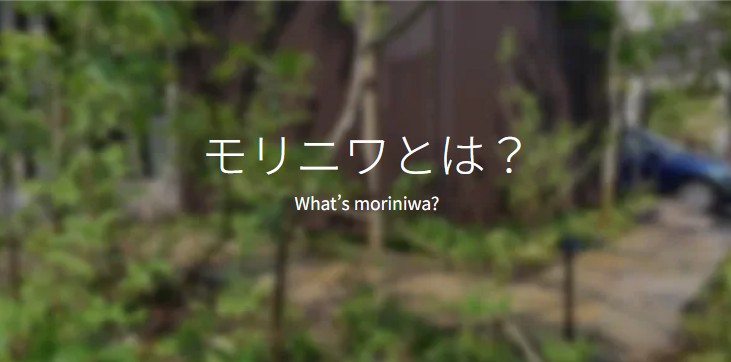 ˥Ȥ