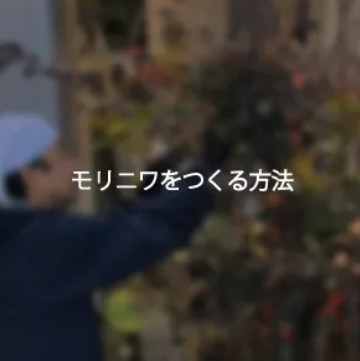 ˥