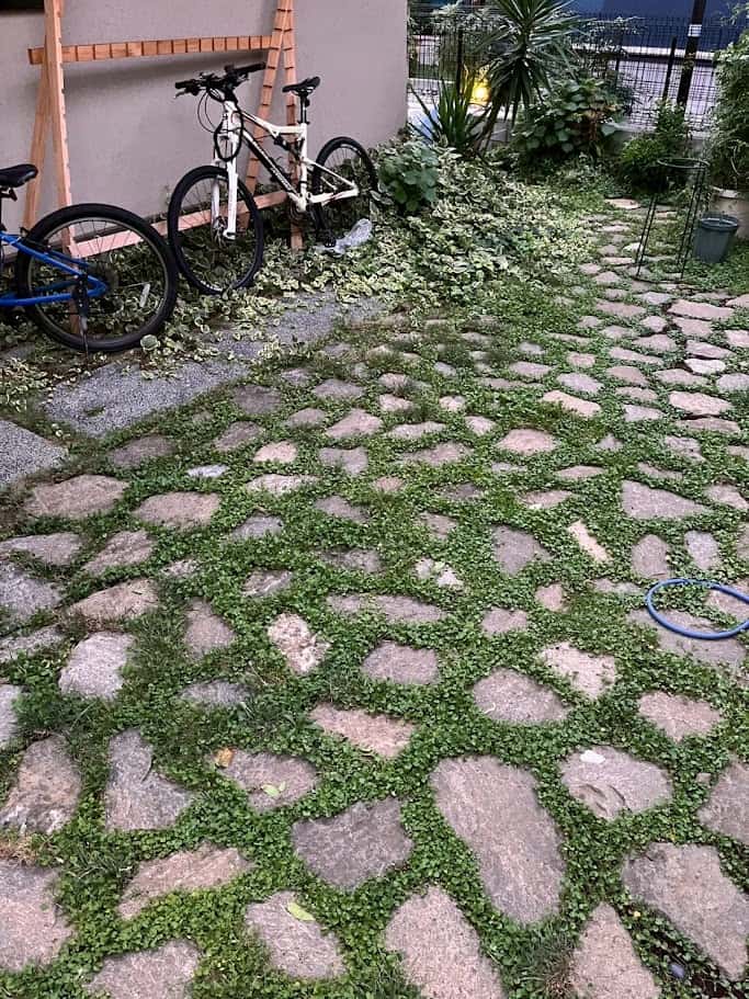 ߤ־