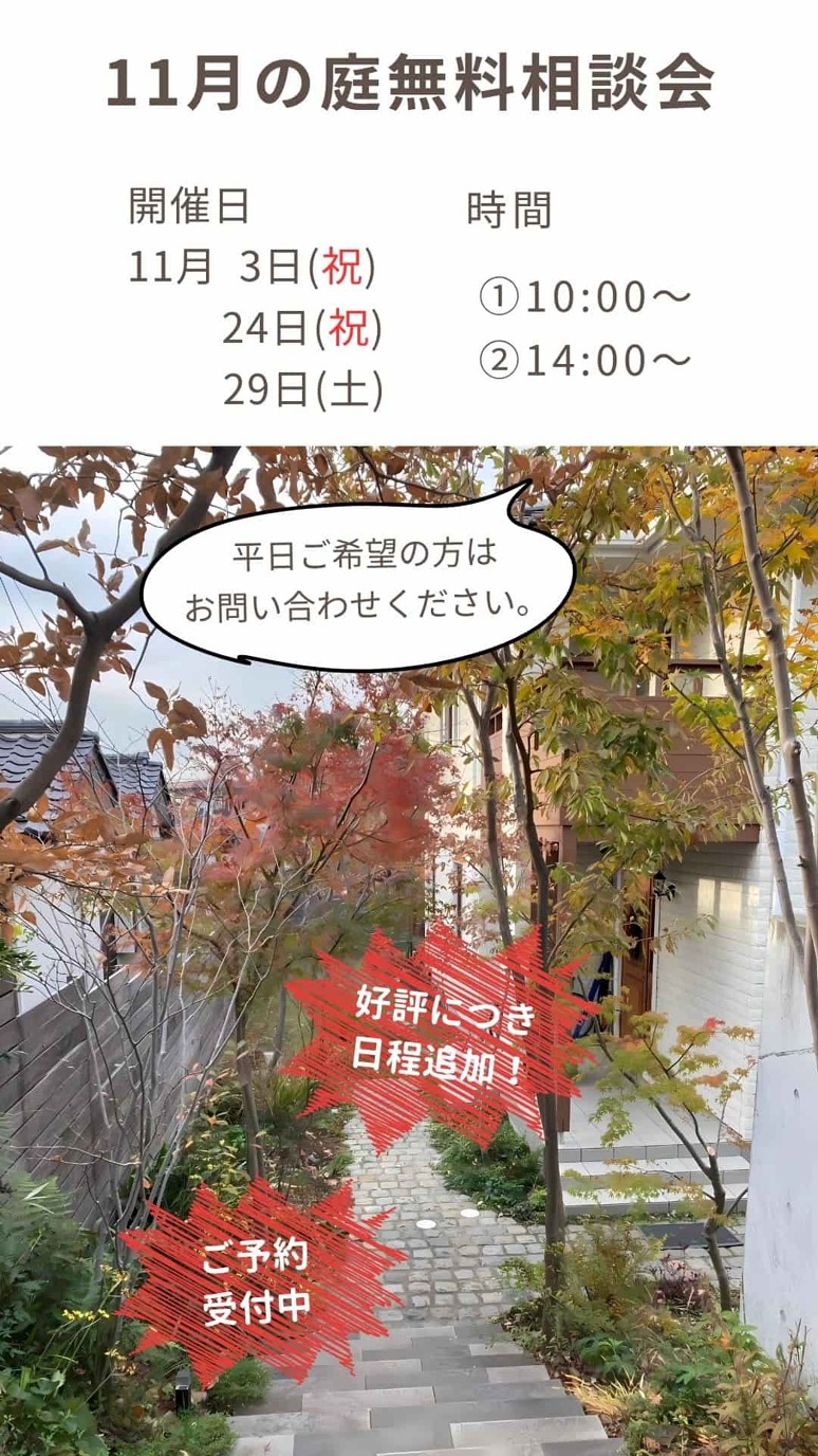 11̵̲.jpg