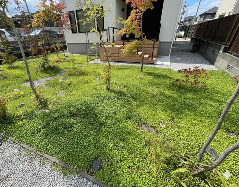 グランドカバー グランドカバー
