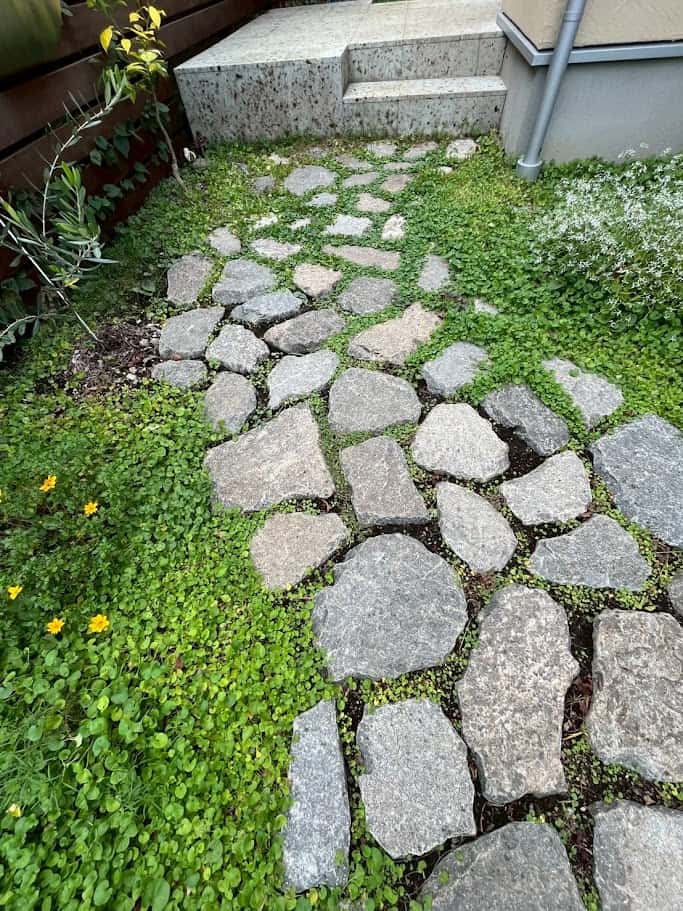 自然石敷きアプローチ 自然石敷きアプローチ