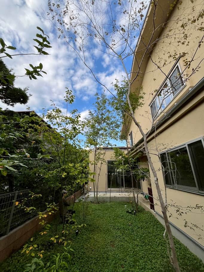 雑木の庭 雑木の庭