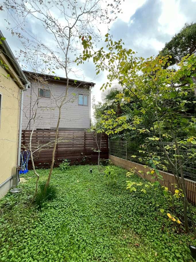 グランドカバー グランドカバー