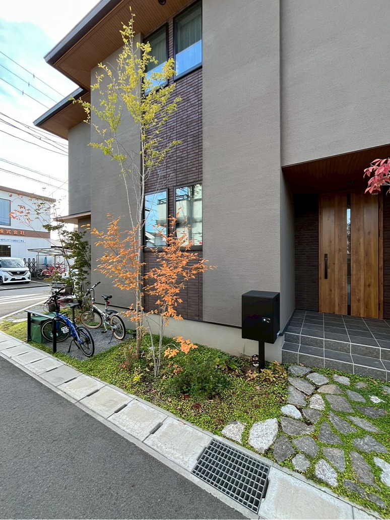 窓から緑が見える 窓から緑が見える