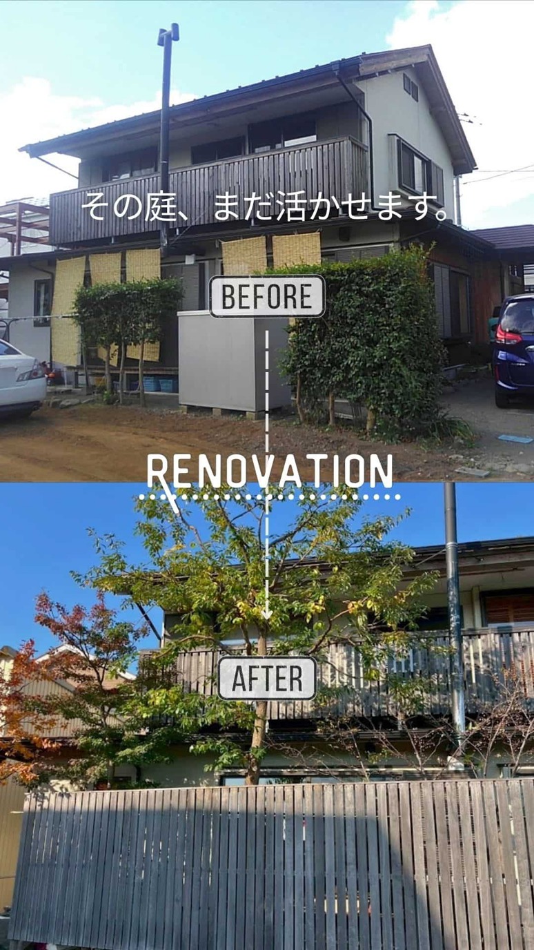 ���������̵�����̲�