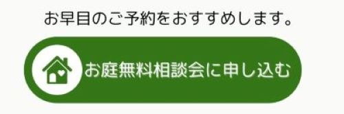 ����̵�����̲�˿�������.250502-2JPG